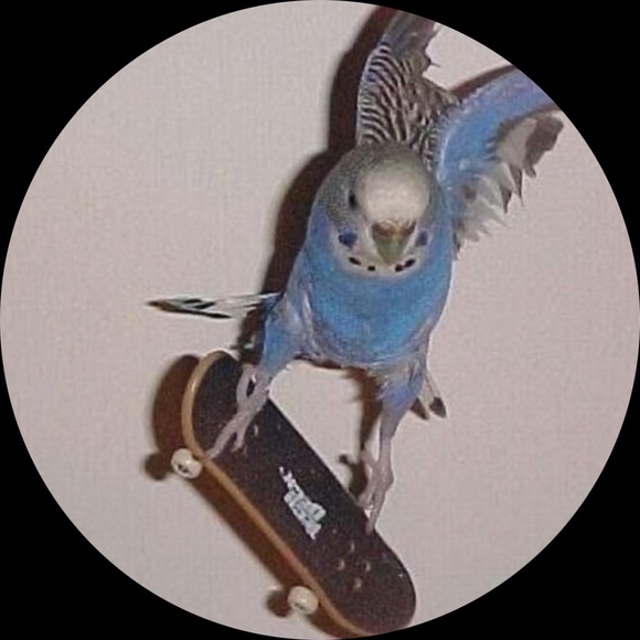 coolestbird